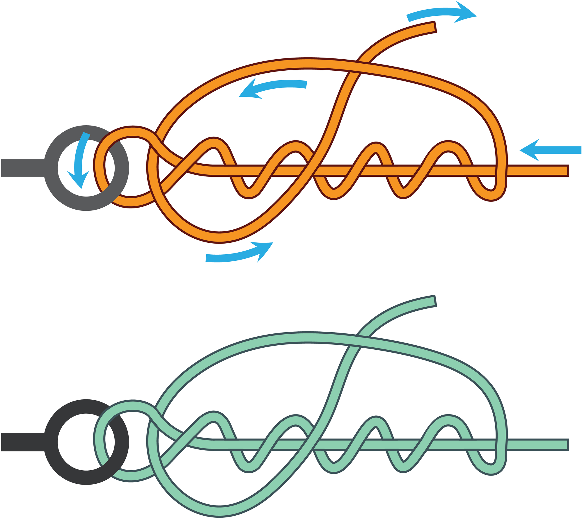 Best Knot for Tying Fly to Tippet Fly Fishing Lines